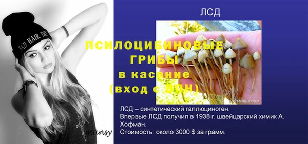 круглые Гусь-Хрустальный