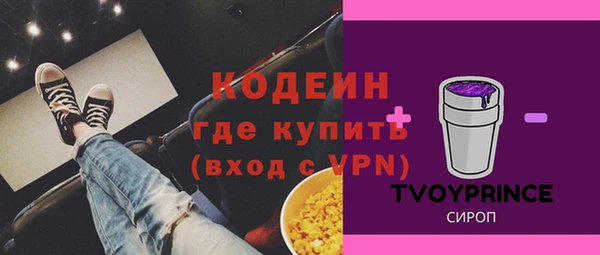 первитин Гусев