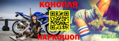 гашик Малоярославец
