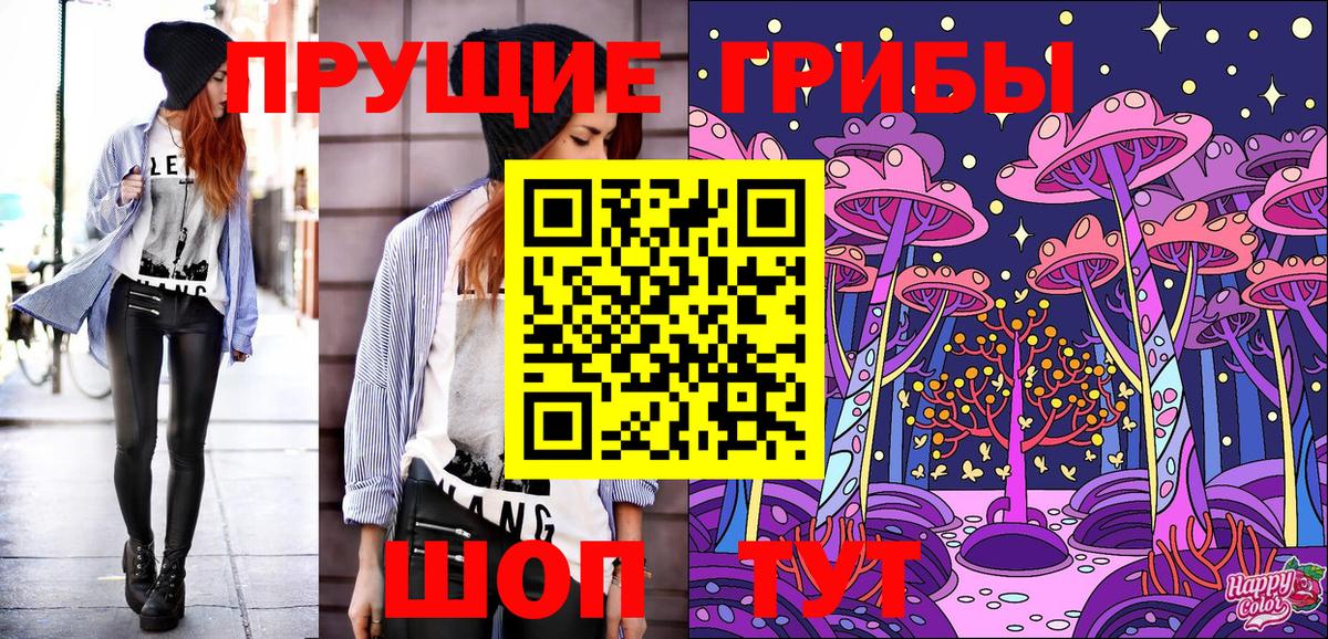 Псилоцибиновые грибы Psilocybe  Северобайкальск  Псилоцибиновые грибы Cubensis 