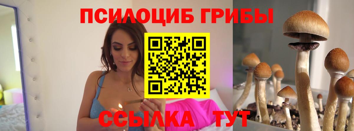 Галлюциногенные грибы мухоморы Северобайкальск