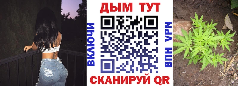 OMG ТОР  где купить наркоту  Северобайкальск  Бошки Шишки семена 